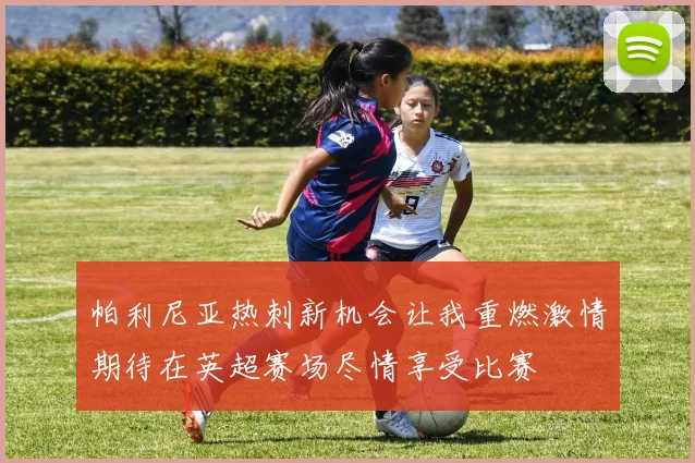 帕利尼亚热刺新机会让我重燃激情期待在英超赛场尽情享受比赛