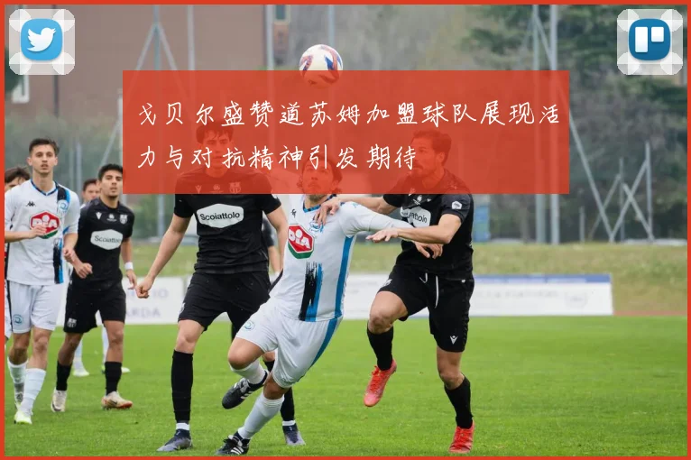 戈贝尔盛赞道苏姆加盟球队展现活力与对抗精神引发期待
